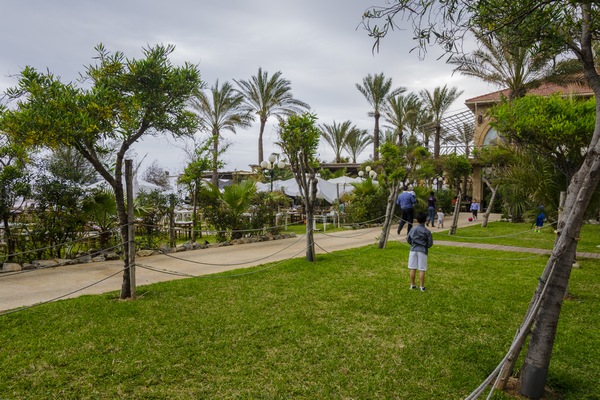 Palm Sunday at Edde Sands